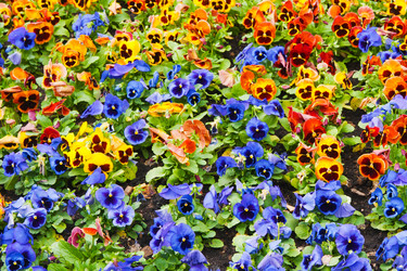 Similar image 6743613