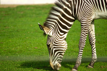 Similar image 6743623