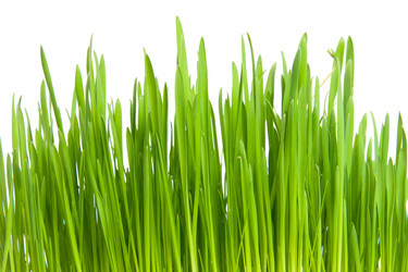 Similar image 6743626