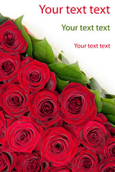 Similar image 6743639