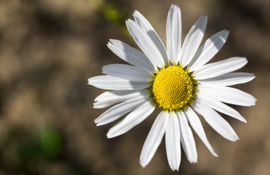 Similar image 6743687