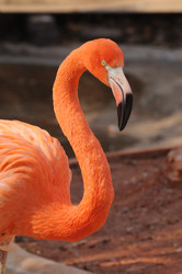 Similar image 6743693