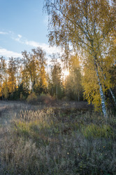 Similar image 6743715