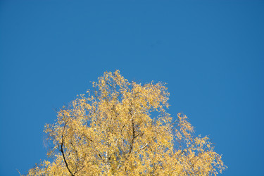 Similar image 6743717