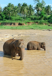 Similar image 6743737