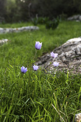 Similar image 6743784