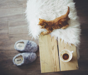 Similar image 6744029