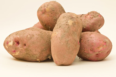 Similar image 6744106