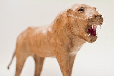 Similar image 6744154