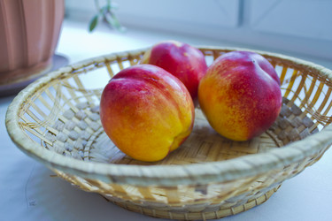 Similar image 6744234