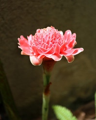 Similar image 6744465