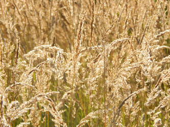 Similar image 6744543