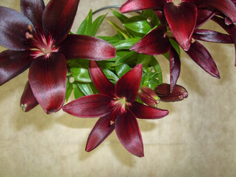 Similar image 6744596