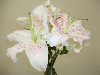 Similar image 6744597