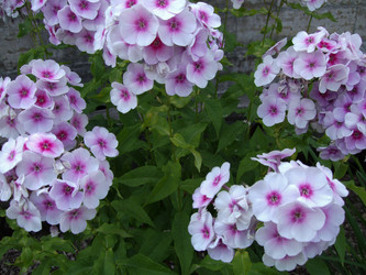 Similar image 6744598