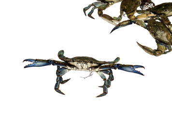 Similar image 6744601