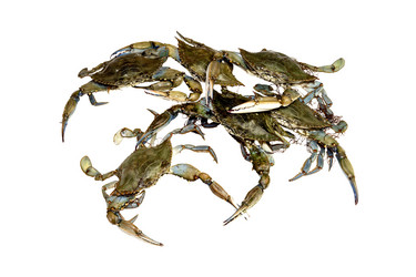 Similar image 6744602