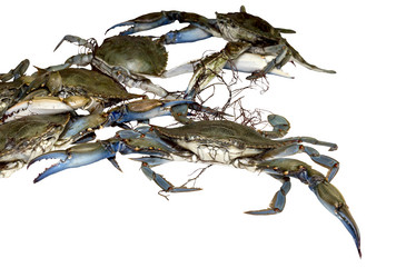 Similar image 6744603