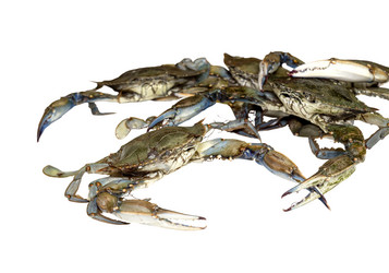 Similar image 6744604