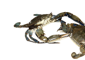 Similar image 6744605