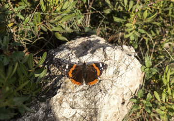 Similar image 6744606