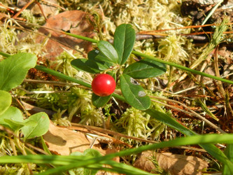 Similar image 6744617