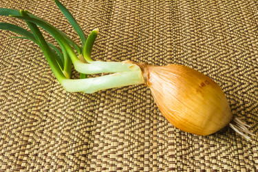 Similar image 6744667