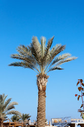 Similar image 6744754