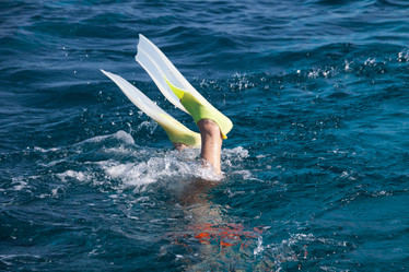 Similar image 6744779