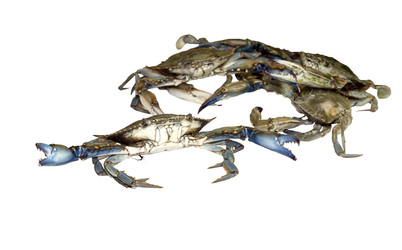 Similar image 6744796