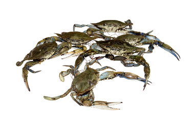 Similar image 6744797