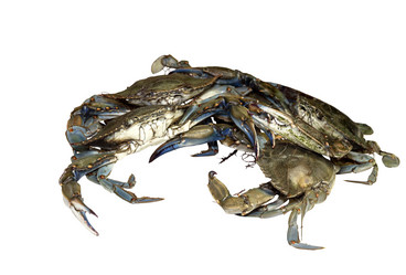 Similar image 6744799