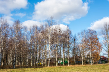 Similar image 6745077