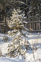 Similar image 6745100