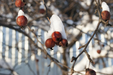 Similar image 6745104