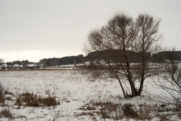 Similar image 6745114