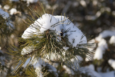 Similar image 6745117