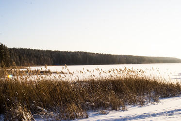 Similar image 6745118