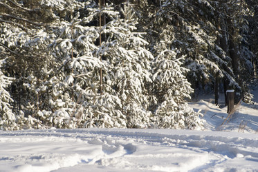 Similar image 6745120