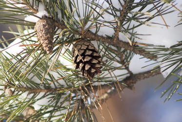 Similar image 6745122