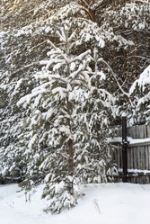 Similar image 6745126