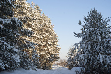 Similar image 6745127