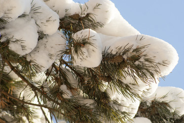 Similar image 6745129