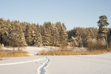 Similar image 6745131