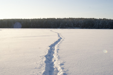 Similar image 6745143