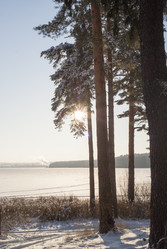 Similar image 6745147