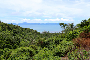 Similar image 6745149