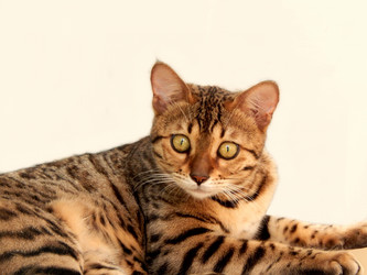 Similar image 6745223