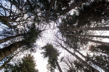 Similar image 6745235