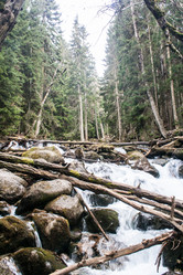 Similar image 6745236